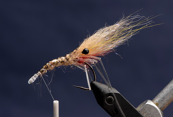 tying a shrimp fly for saltwater