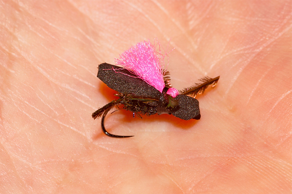 flip flop scarab noire