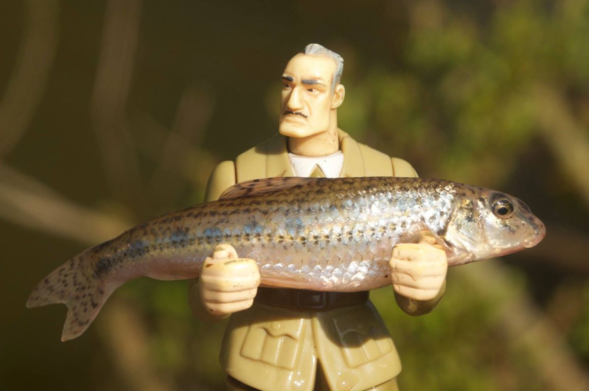 General+Gudgeon